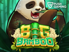 Bet jungle casino93